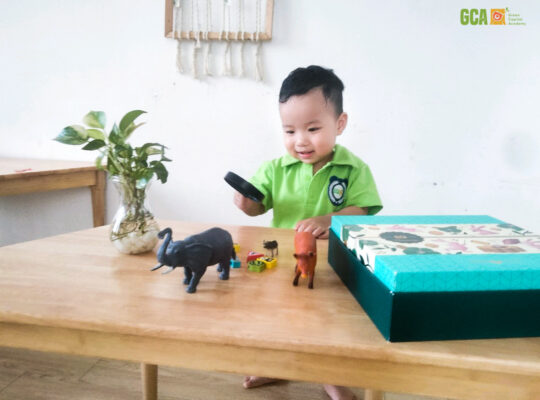 Con 2 tuổi biết những gì